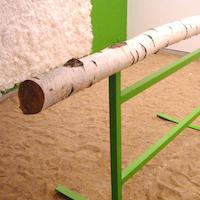 Try to fly or fly to try 2002